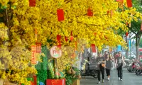 Nhiều điểm vui chơi tại TPHCM gấp rút trang trí đón năm mới 2023