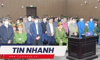 TIN NHANH: Kết luận vụ Chánh thanh tra Viện KSND bị tố hiếp dâm; Bản án đề nghị cho bị cáo &apos;đặc biệt&apos; nhất đại án Việt Á