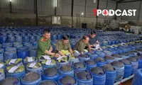 NÓNG 19/4: Bắt 4 chủ cơ sở ngâm giá đỗ bằng hóa chất &apos;nước kẹo&apos;, đã bán 3.500 tấn