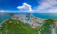 Nơi nào có nhiều rùa biển nhất ở Việt Nam?