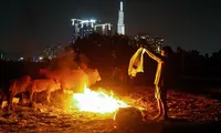 Người đàn ông chăn trâu bò giữa lòng TPHCM