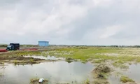 Phân lô tách thửa tràn lan, Bà Rịa Vũng Tàu tạm ngừng để chấn chỉnh