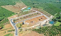 Đồi chè bị băm nát, phân lô 