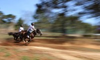 Xé gió về đích trong cuộc đua ngựa không yên. Ảnh: Võ Trang