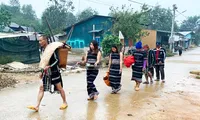 Lâm Đồng nâng cao sinh kế, giảm hộ nghèo vùng đồng bào dân tộc thiểu số