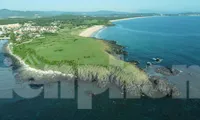 Bãi Xép - Phú Yên, hoa vàng cỏ xanh và nơi dạo chơi của tâm hồn