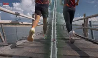 Những cung đường thơ mộng của Tiền Phong Marathon nơi hoa vàng trên cỏ xanh