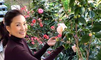 Hồng Đào, Quang Minh và nghệ sĩ Việt đón Tết ở nước ngoài thế nào?