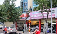 Hàng cây sưa đỏ phố Nguyễn Văn Huyên chết khô, &apos;vô phương cứu chữa&apos;