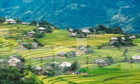 Ngất ngây cảnh sắc &apos;thiên đường&apos; ruộng bậc thang ở Hoàng Su Phì