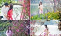 Đào và hoa bung sắc rực rỡ, &apos;nàng thơ&apos; đua nhau thả dáng quanh hồ Hoàn Kiếm
