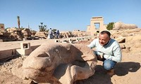 Một chiếc đầu tượng vừa được tìm thấy ở "Đại lộ Nhân sư"
