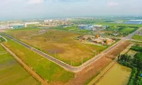 Dự thảo Luật Đất đai sửa đổi hướng tới đẩy mạnh tích tụ, tập trung đất đai, giảm tình trạng đất nông nghiệp bỏ hoang Ảnh minh họa: Như Ý