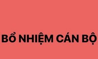 Bổ nhiệm ông Trịnh Mạnh Linh làm Trợ lý Thủ tướng Phạm Minh Chính