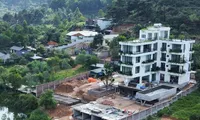 Quản lý đất rừng Sóc Sơn - Hà Nội: Rà soát hiện trạng, xử lý vi phạm