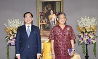 Bộ trưởng Ngoại giao Bùi Thanh Sơn có cuộc tiếp kiến Công chúa Thái Lan Maha Chakri Sirindhorn. (Ảnh: Mofa)