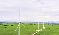 Hợp tác Việt Nam-Đan Mạch trong lĩnh vực chuyển đổi năng lượng Xanh: Đường đến Phát thải ròng bằng không