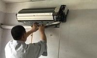 Kinh hãi ổ rắn bò lổm ngổm trong điều hòa nhà dân ở Tây Ninh
