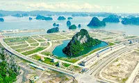 Quảng Ninh nói gì về dự án có &apos;hòn non bộ khủng nhất Việt Nam&apos;?
