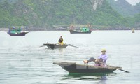 Làng chài cổ tích đẹp như tranh giữa vịnh Hạ Long