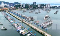 Vịnh Hạ Long mở cửa đón khách du lịch 1 tuần sau bão