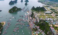 Hàng chục cán bộ ở huyện Vân Đồn xin nghỉ hưu sớm