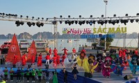 Carnaval mùa Đông: Đảo ngọc Tuần Châu bừng sáng sắc màu