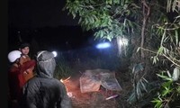 Hai phụ nữ hái rau muống, tử vong nghi do điện giật