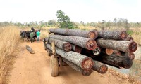 &apos;Chạm mặt&apos; 30 lâm tặc vụ đe dọa lực lượng chức năng