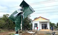 Mưa lớn kèm giông lốc gây nhiều thiệt hại ở Gia Lai