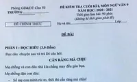 Đề văn khiến nhiều người cho rằng có hàm ý nhạy cảm.