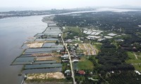 Khánh Hoà huỷ nhiều quyết định chuyển mục đích từ đất nông nghiệp sang đất ở để &apos;phân lô, bán nền&apos;