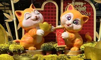 Linh vật mèo nhiều sắc thái ở phố biển Nha Trang