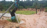Khu đất hơn 2.000m2 thuộc rừng phòng hộ trên đảo bị san ủi, trồng cây lâu năm. Hiện thủ phạm đã bỏ trốn.
