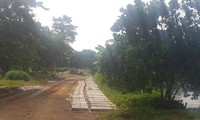 Khu đất được giới thiệu dự án Golden Lake Hòa Lạc (Sơn Tây, Hà Nội) chỉ là nơi đang trồng cây, nuôi cá. Ảnh: Ngọc Mai