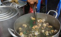 Những loại cây có &apos;giá trên mây&apos; ở Việt Nam, hàng gà tần bán nghìn suất mỗi ngày