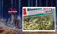 NHỊP SỐNG 24: &apos;Nước kẹo&apos; trong gần 3000 tấn giá đỗ vừa bị phát hiện là gì?