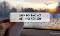 Những cách chống nồm ẩm đơn giản mà hiệu quả nhất