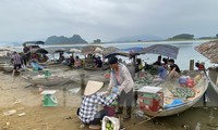 Chợ dưa bên hồ Thác Bà