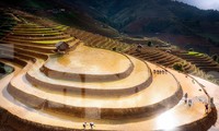 Ngắm nhìn ruộng bậc thang Mù Cang Chải mùa nước đổ