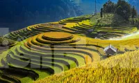 Sa Pa và Mù Cang Chải thúc đẩy hợp tác phát triển du lịch