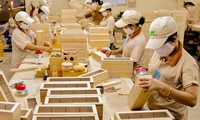 Gỗ Trung Quốc giả mác hàng Việt để xuất sang Mỹ như thế nào?