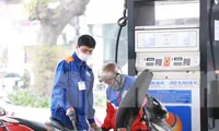 Giá xăng dầu dự kiến tiếp tục tăng mạnh trong phiên điều hành ngày 11/3