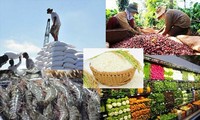 Lộ diện 7 mặt hàng nông, lâm, thuỷ sản xuất khẩu đạt trên 2 tỷ USD
