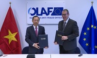 Việt Nam phối hợp với EU điều tra chống buôn lậu, chuyển giá