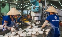Xuất khẩu nông sản sắp thêm mặt hàng gia nhập &apos;câu lạc bộ&apos; tỷ USD