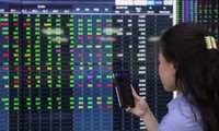 Cổ phiếu chứng khoán đua trần