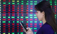 Chứng khoán trên đỉnh cao chót vót 