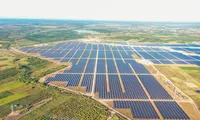 Phó Thủ tướng chỉ đạo về vấn đề giá điện khuyến khích
