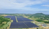'Sức khỏe' tài chính của doanh nghiệp có dự án bị thu hồi giá điện ưu đãi